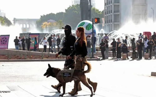 বিশ্বকাপে দর্শকদের নিরাপত্তায় প্রায় এক লাখ নিরাপত্তাকর্মী মোতায়েনের ঘোষণা দিয়েছে মেক্সিকো